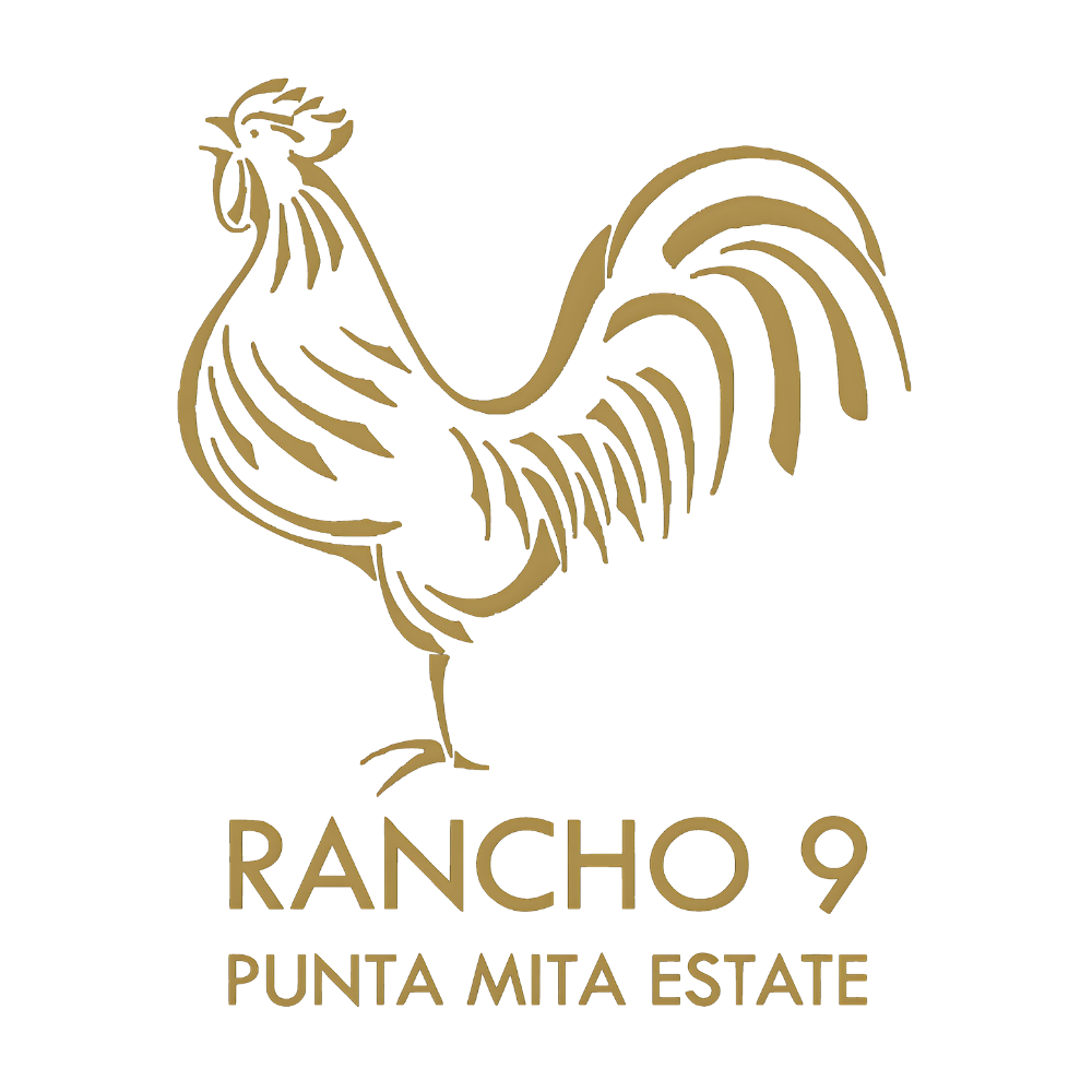 RANCHO M209 1821 River Rd Modesto CA: Ranch Estate Under $700,000 | TikTok main image 4